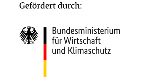 Logo_Foerderung_BMWK